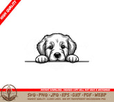 Golden Retriever Peeking SVG - Digital File in Multiple Formats